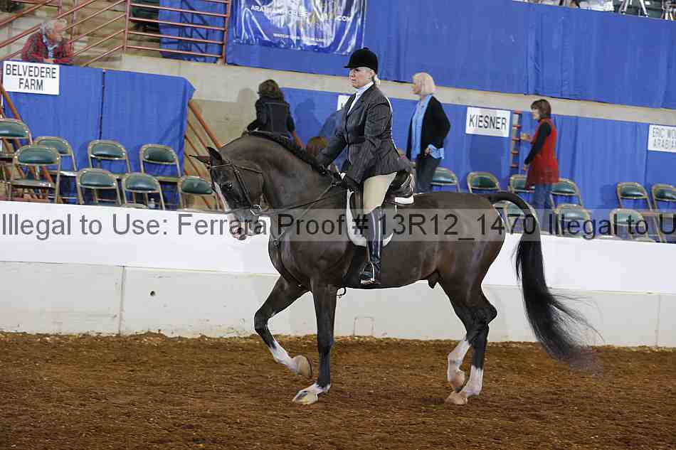 Proof Number 13r12_1470