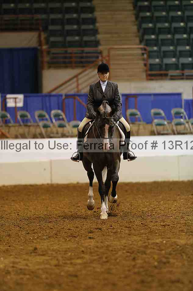Proof Number 13r12_1476