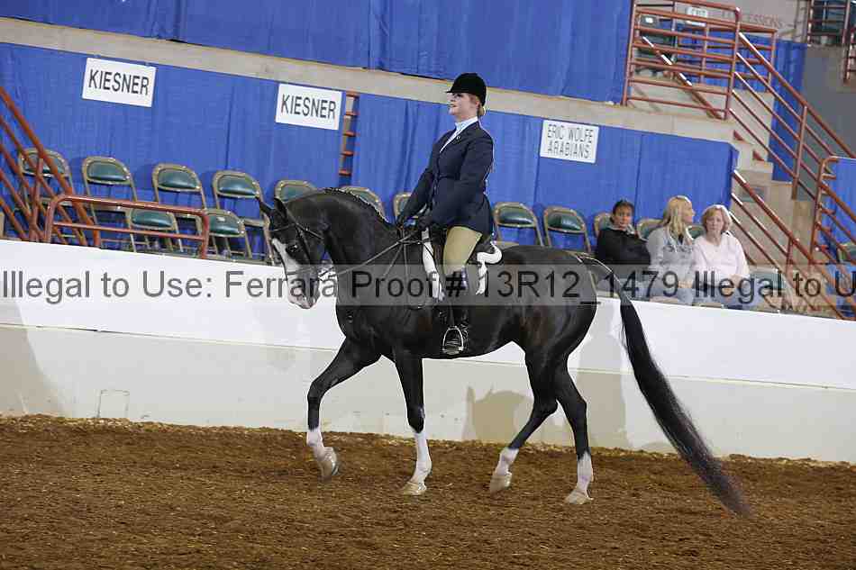 Proof Number 13r12_1479