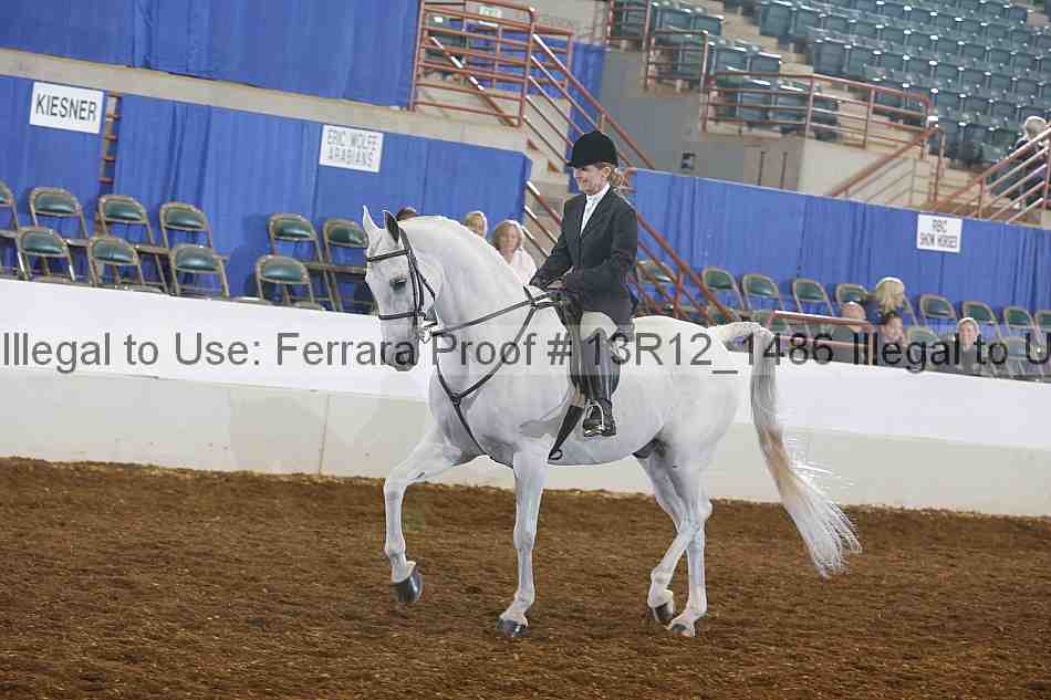 Proof Number 13r12_1486