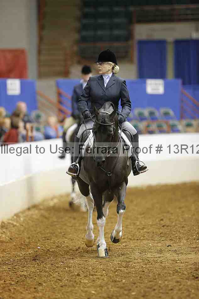 Proof Number 13r12_1487