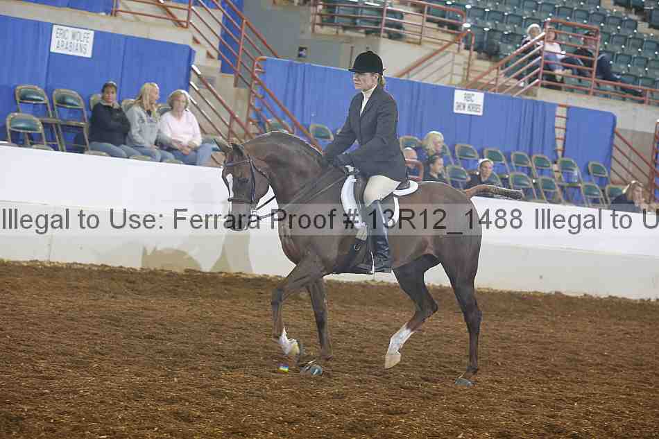Proof Number 13r12_1488