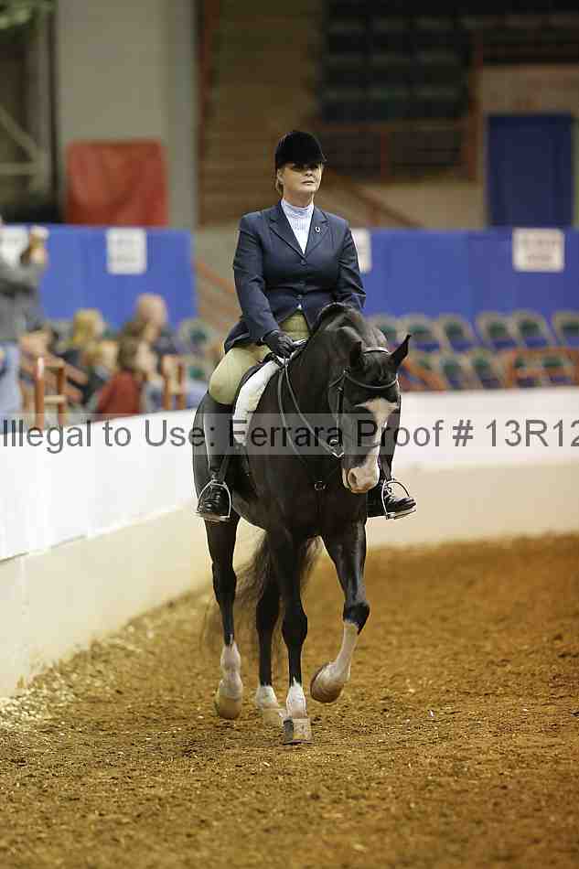Proof Number 13r12_1489