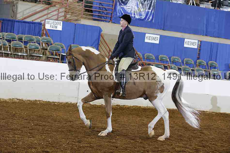 Proof Number 13r12_1491