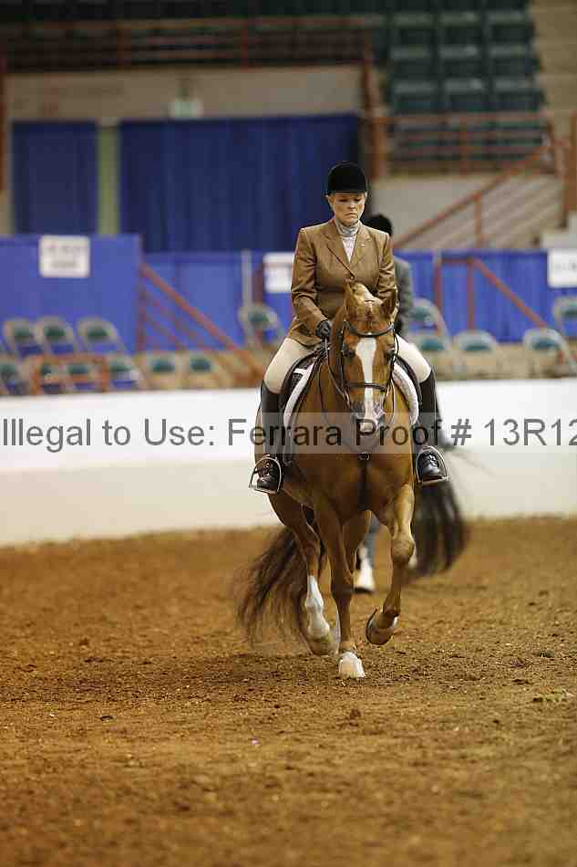 Proof Number 13r12_1493