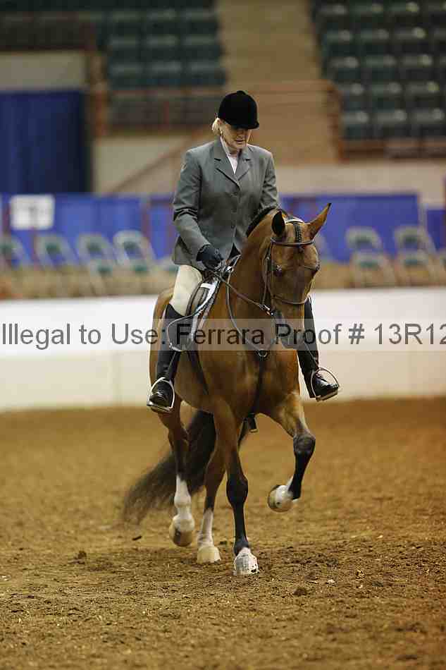 Proof Number 13r12_1495