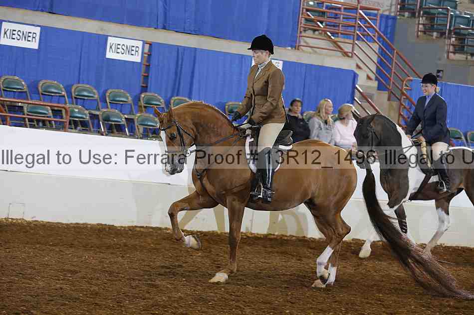 Proof Number 13r12_1496