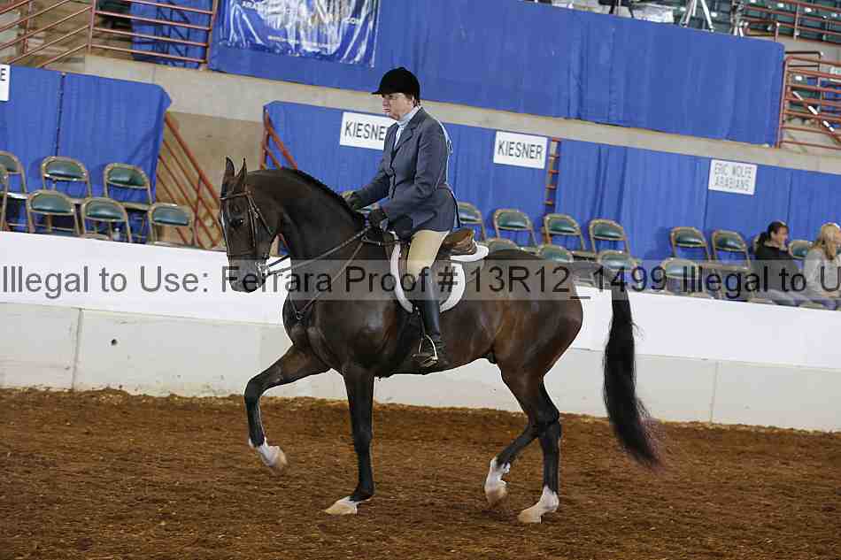Proof Number 13r12_1499