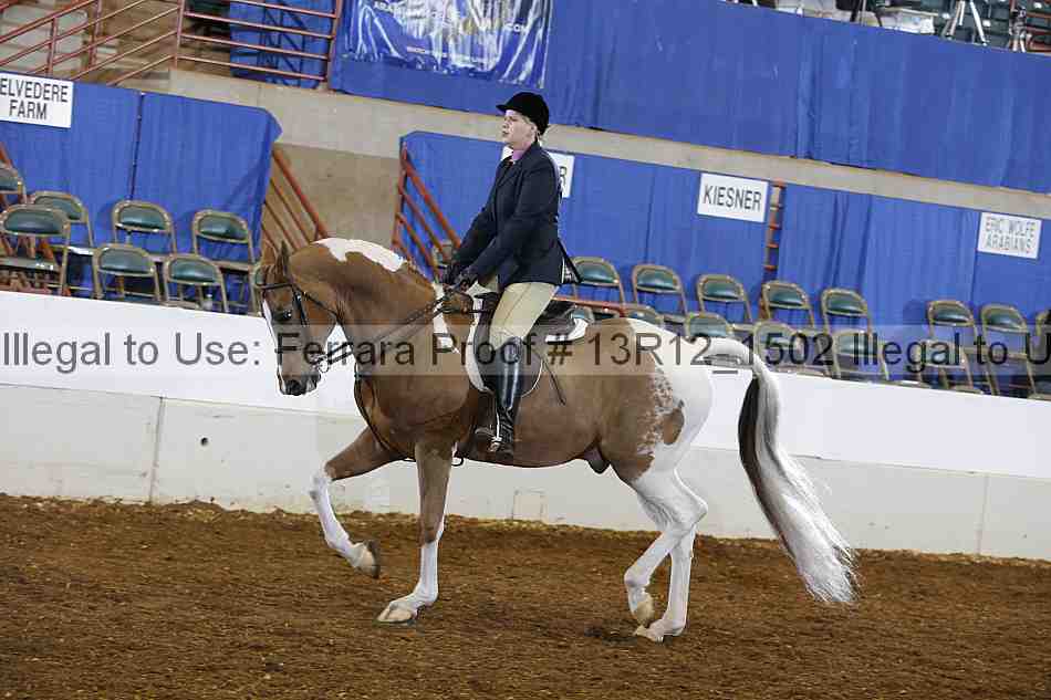 Proof Number 13r12_1502