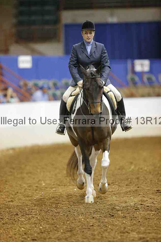 Proof Number 13r12_1507