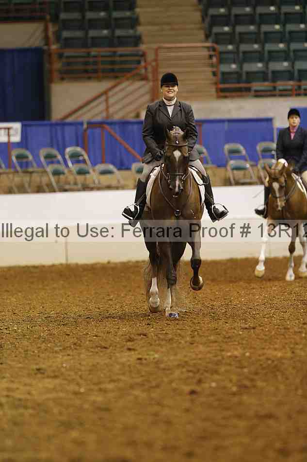 Proof Number 13r12_1508