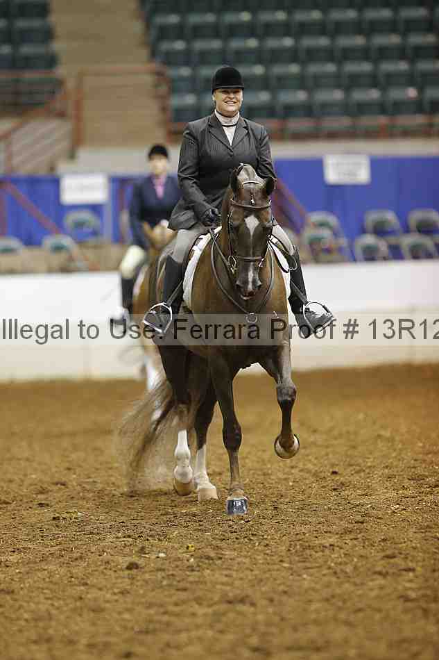 Proof Number 13r12_1510