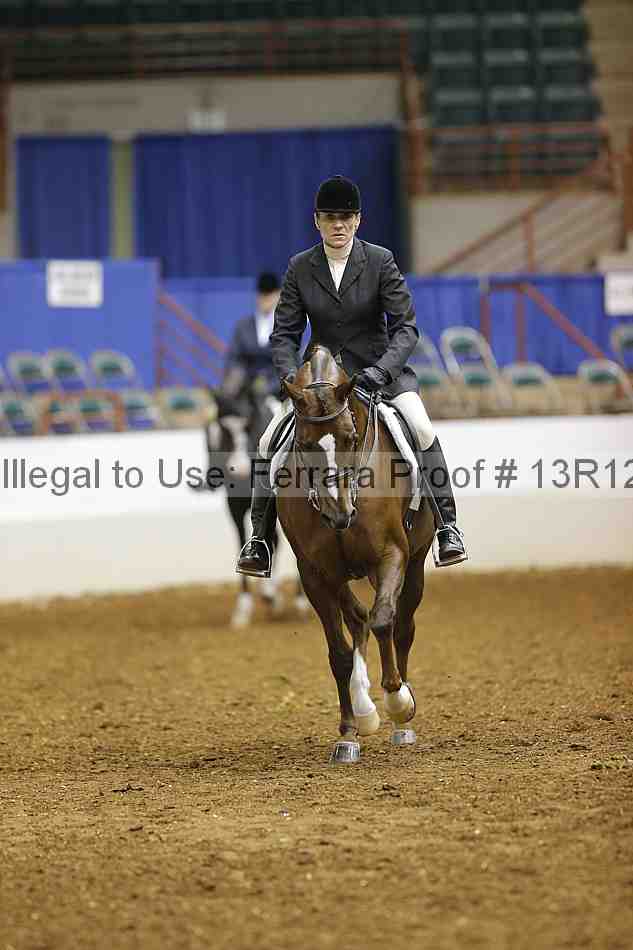 Proof Number 13r12_1513