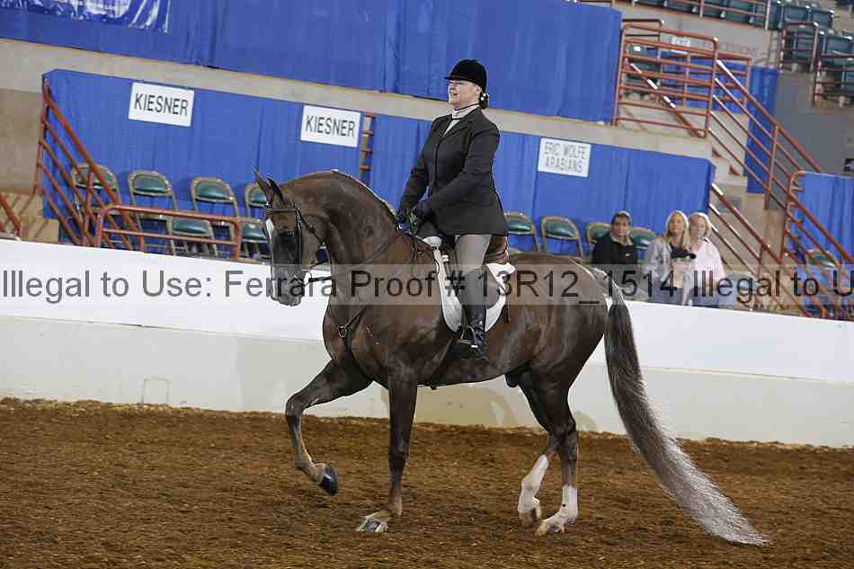 Proof Number 13r12_1514