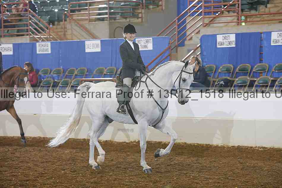 Proof Number 13r12_1518