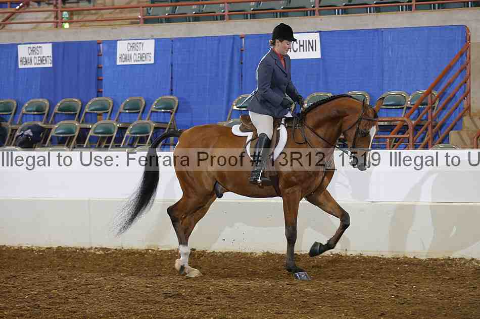 Proof Number 13r12_1519