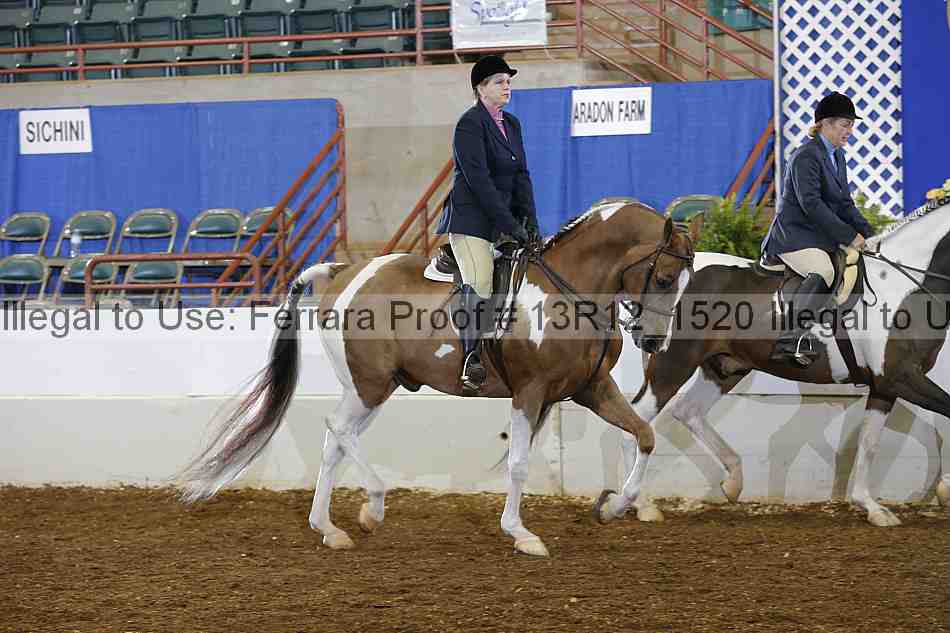 Proof Number 13r12_1520