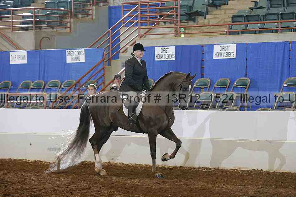 Proof Number 13r12_1524