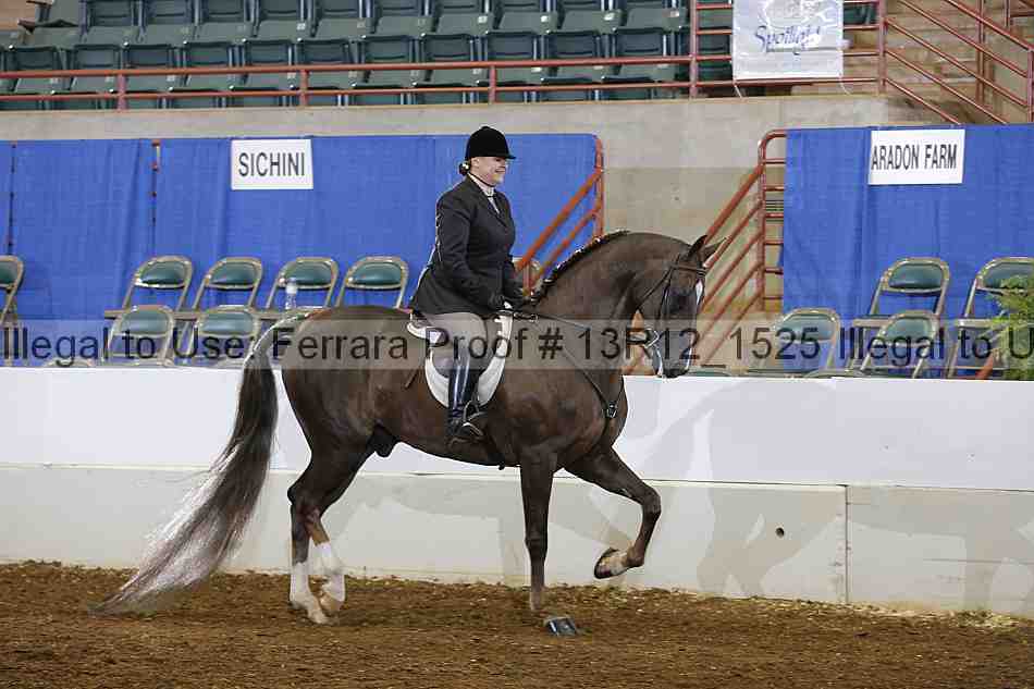 Proof Number 13r12_1525