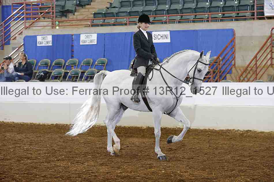 Proof Number 13r12_1527