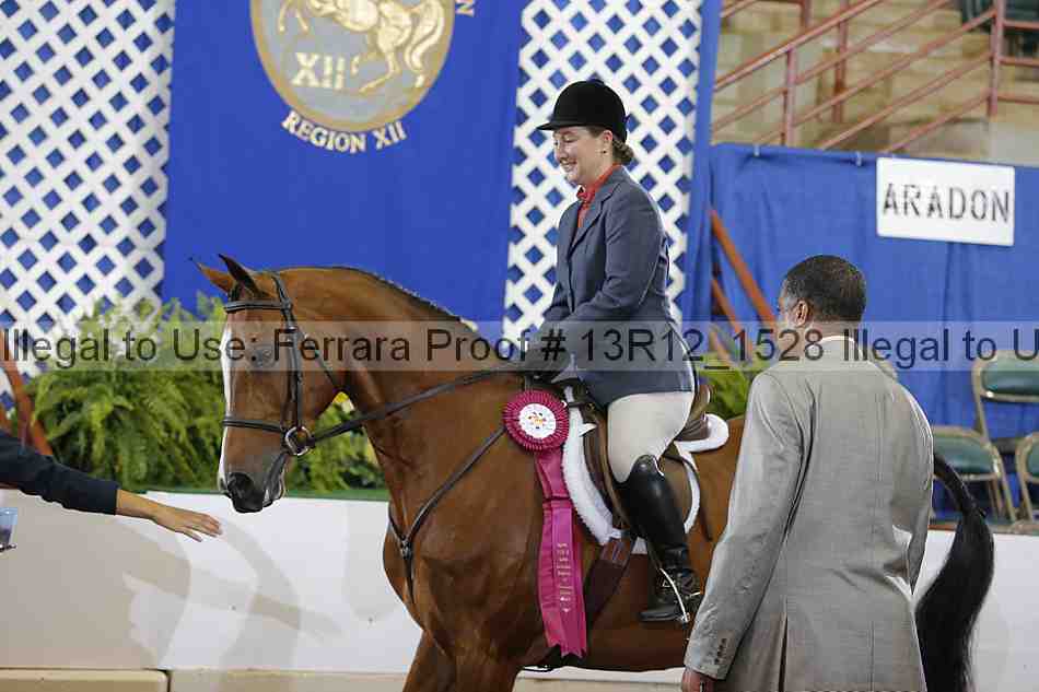 Proof Number 13r12_1528