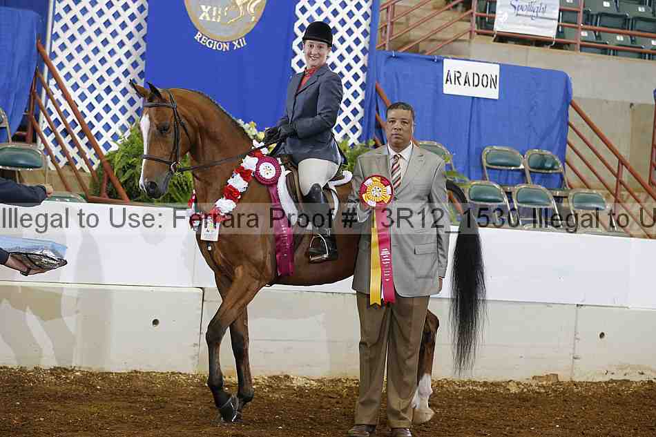 Proof Number 13r12_1530