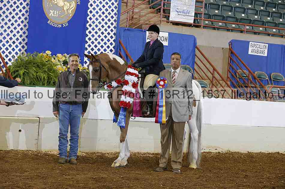Proof Number 13r12_1537