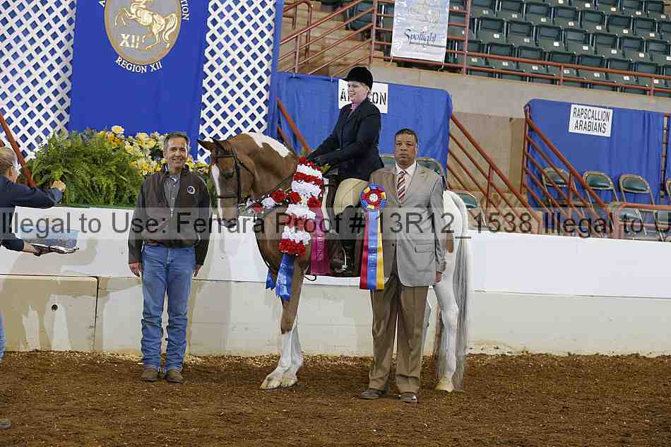 Proof Number 13r12_1538