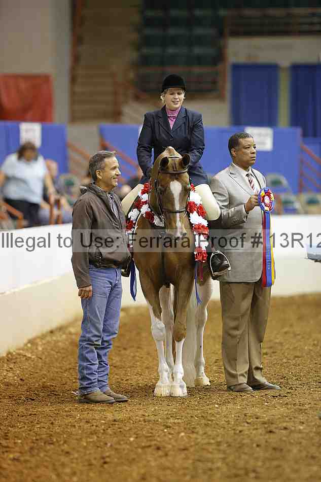 Proof Number 13r12_1541