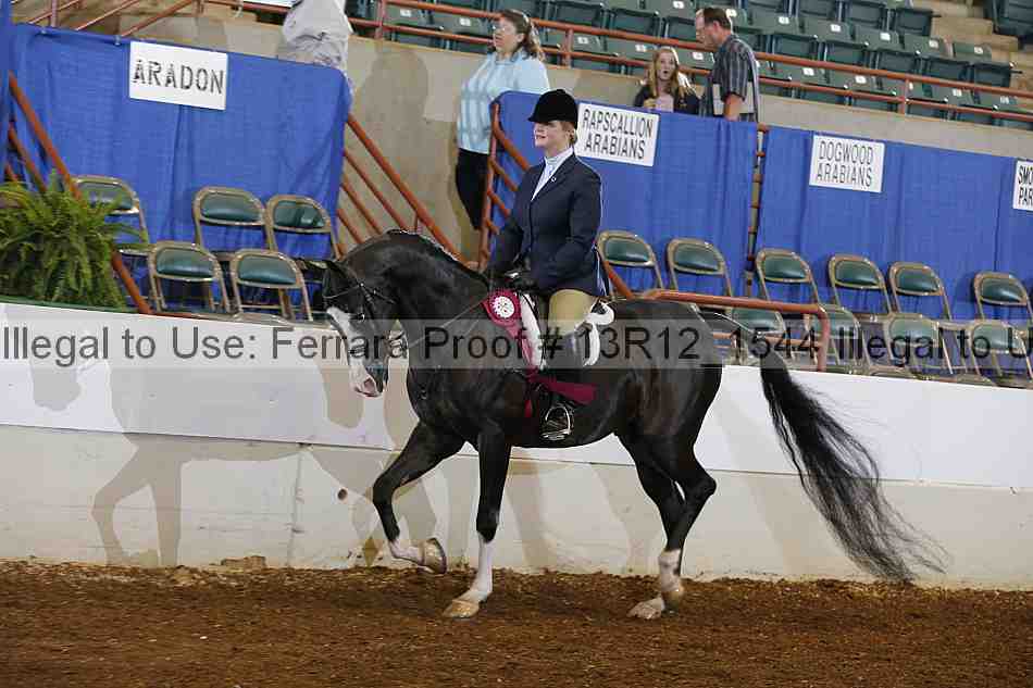 Proof Number 13r12_1544