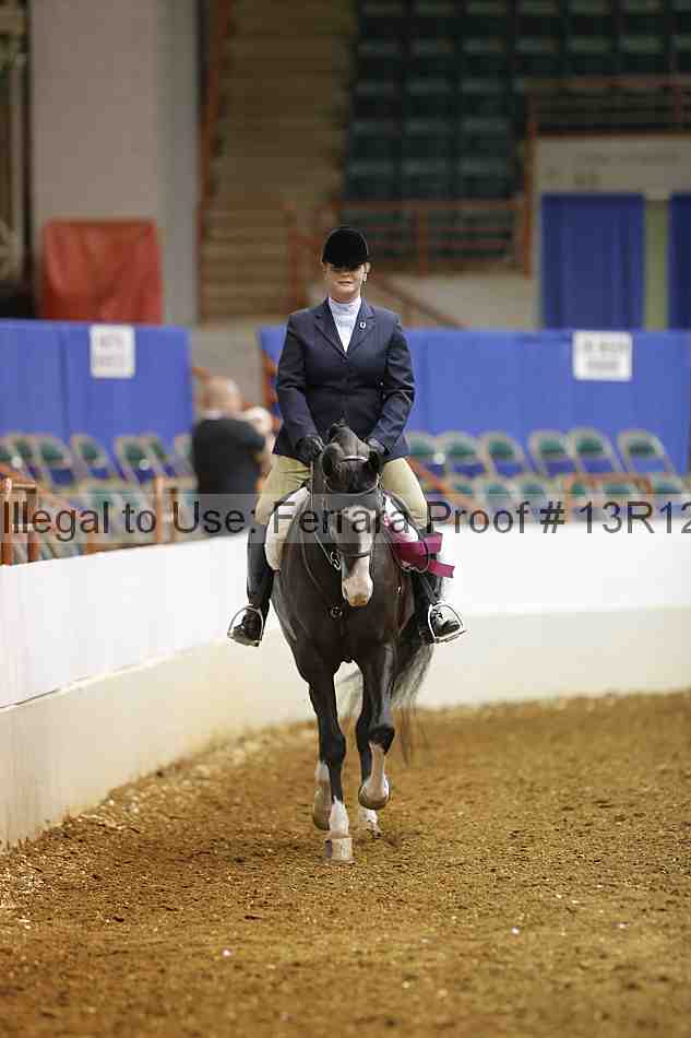 Proof Number 13r12_1545