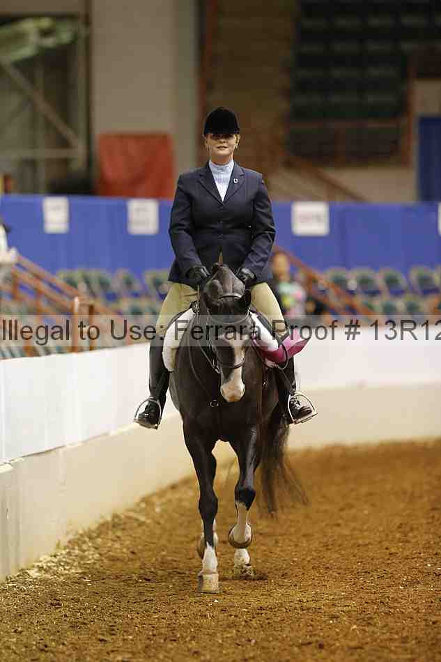 Proof Number 13r12_1546