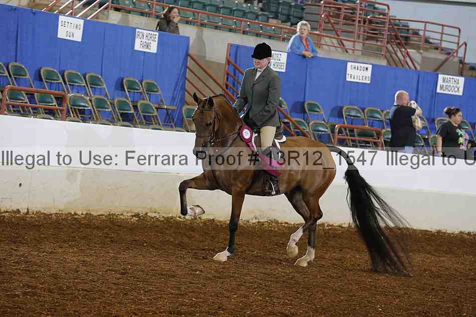Proof Number 13r12_1547