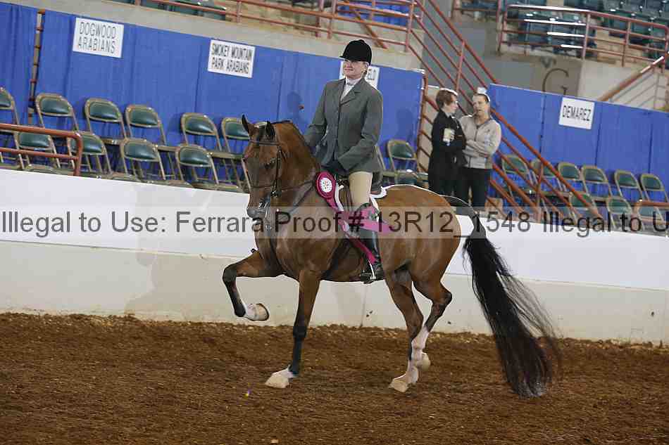 Proof Number 13r12_1548