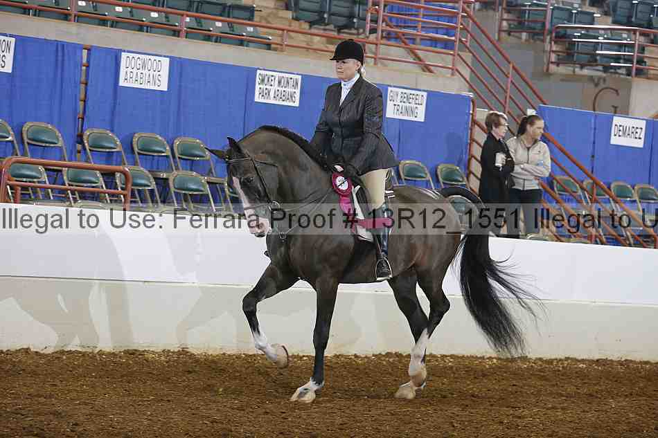 Proof Number 13r12_1551
