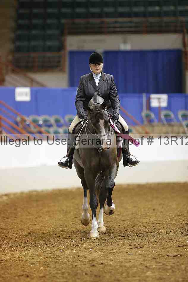 Proof Number 13r12_1554