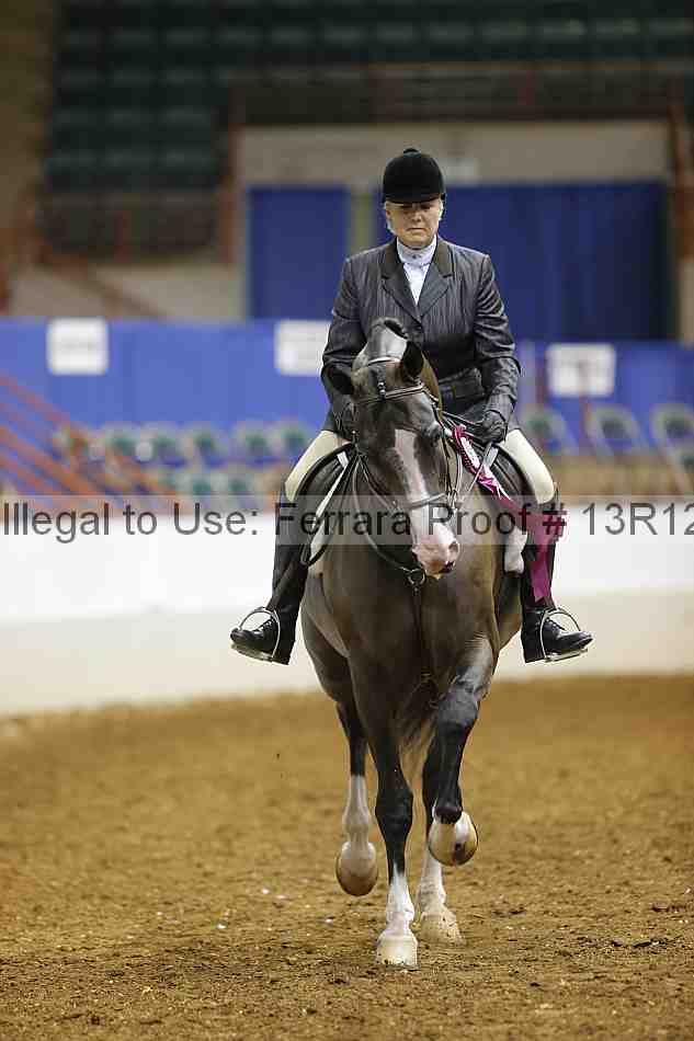 Proof Number 13r12_1555