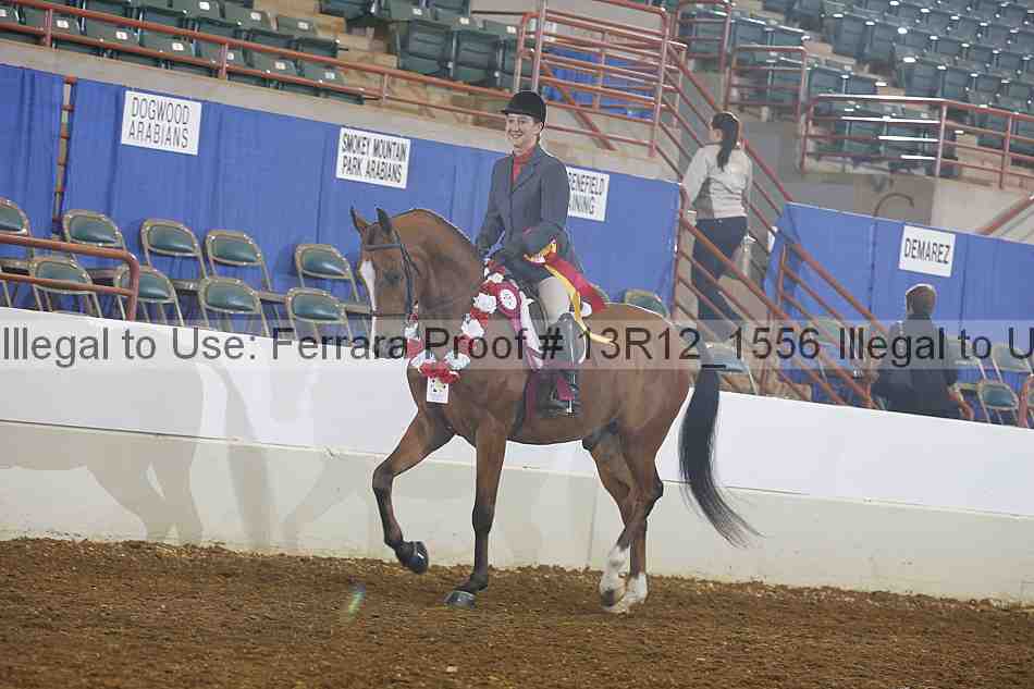 Proof Number 13r12_1556