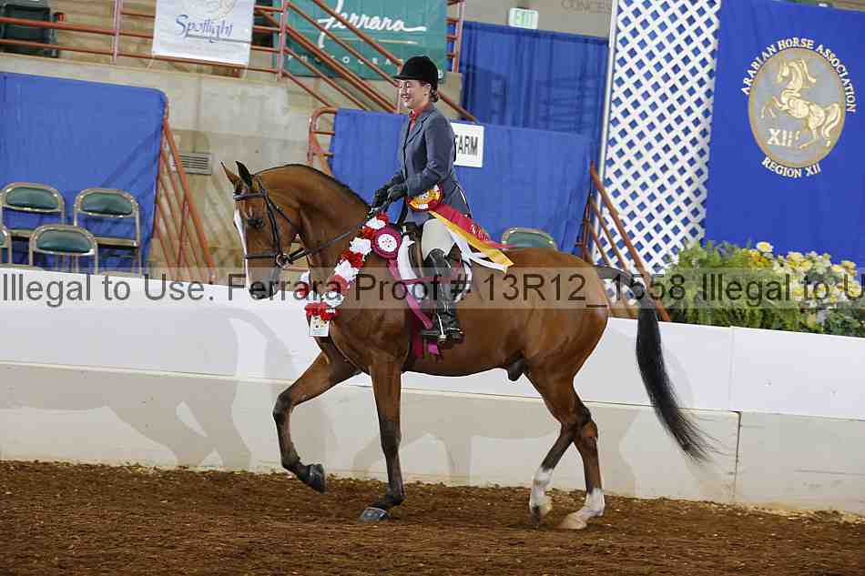 Proof Number 13r12_1558