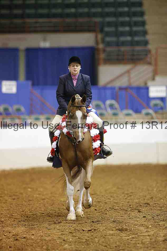 Proof Number 13r12_1564
