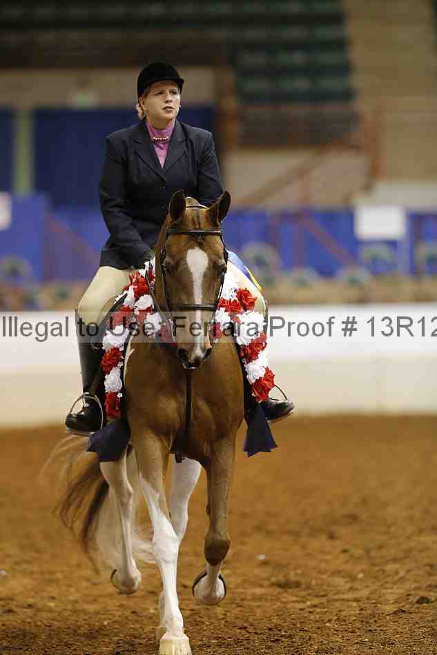 Proof Number 13r12_1565