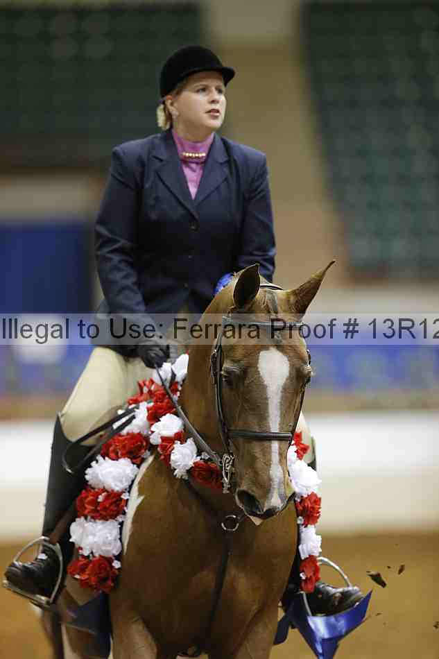 Proof Number 13r12_1566