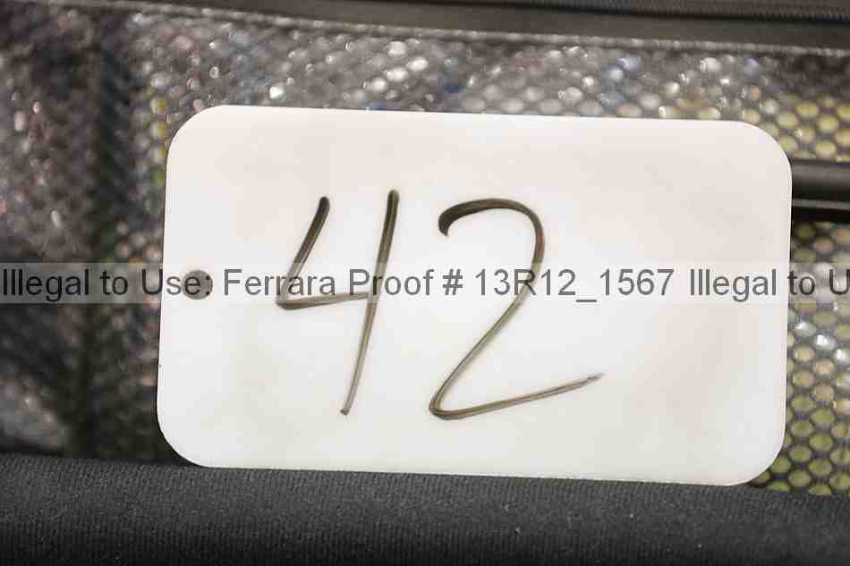 Proof Number 13r12_1567