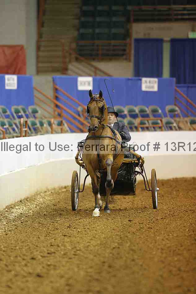 Proof Number 13r12_1570
