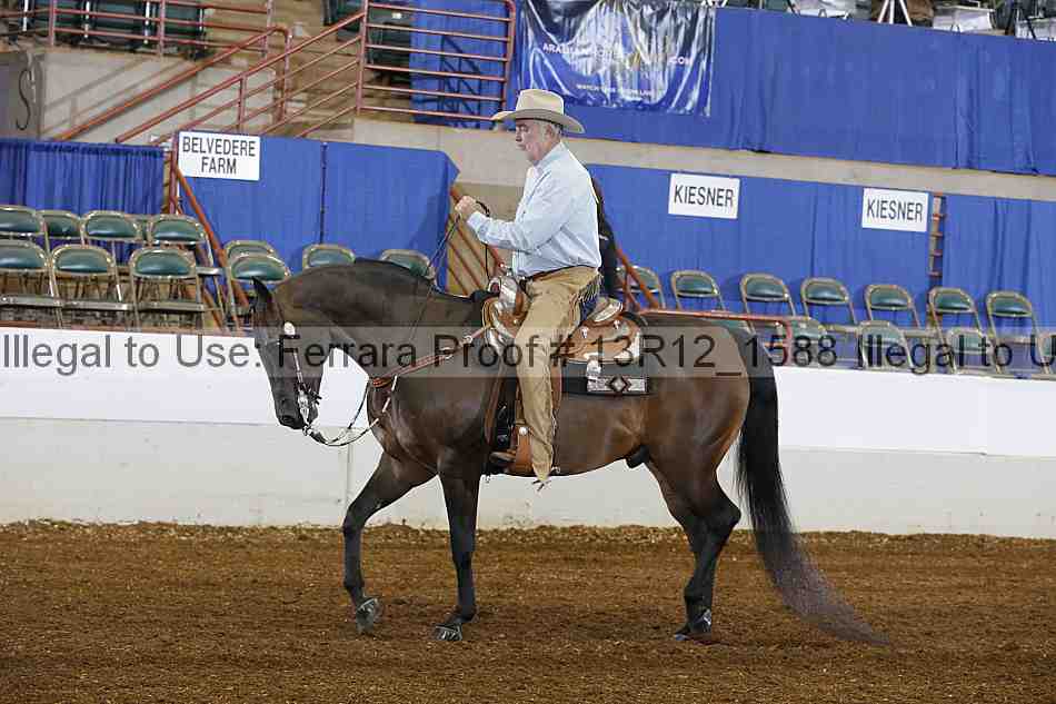 Proof Number 13r12_1588