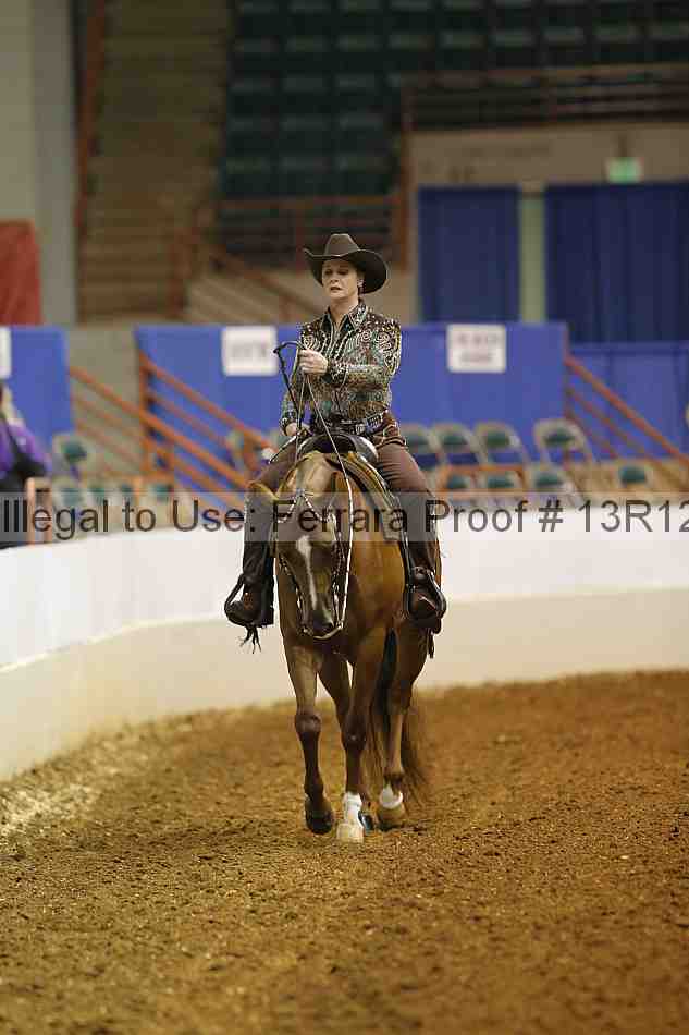 Proof Number 13r12_1597