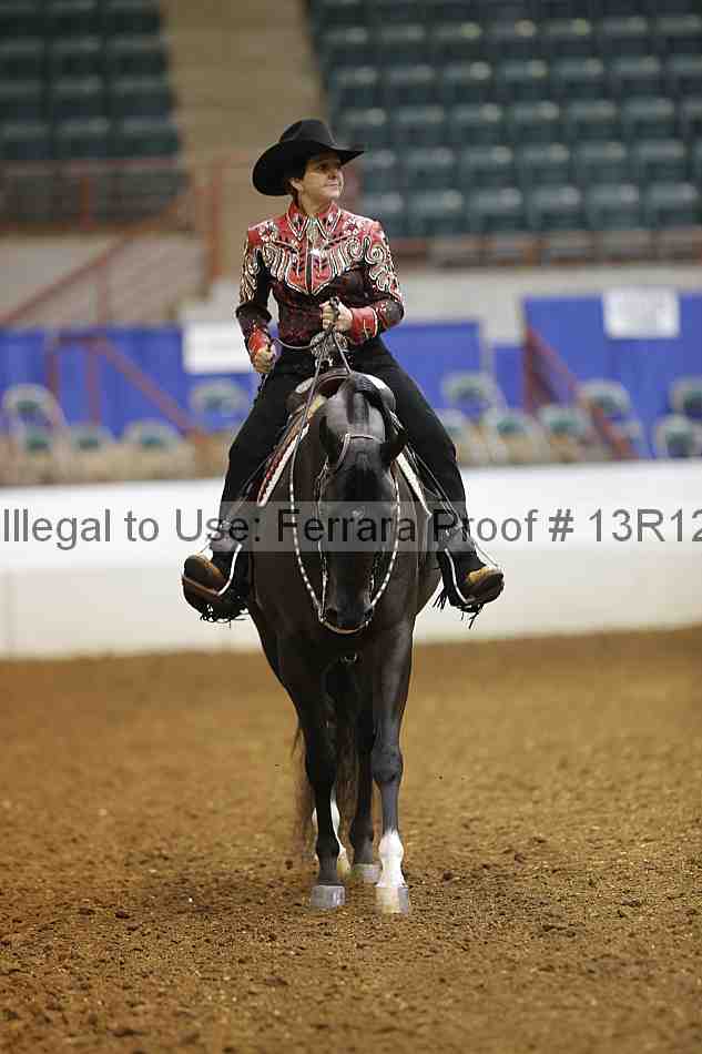 Proof Number 13r12_1604