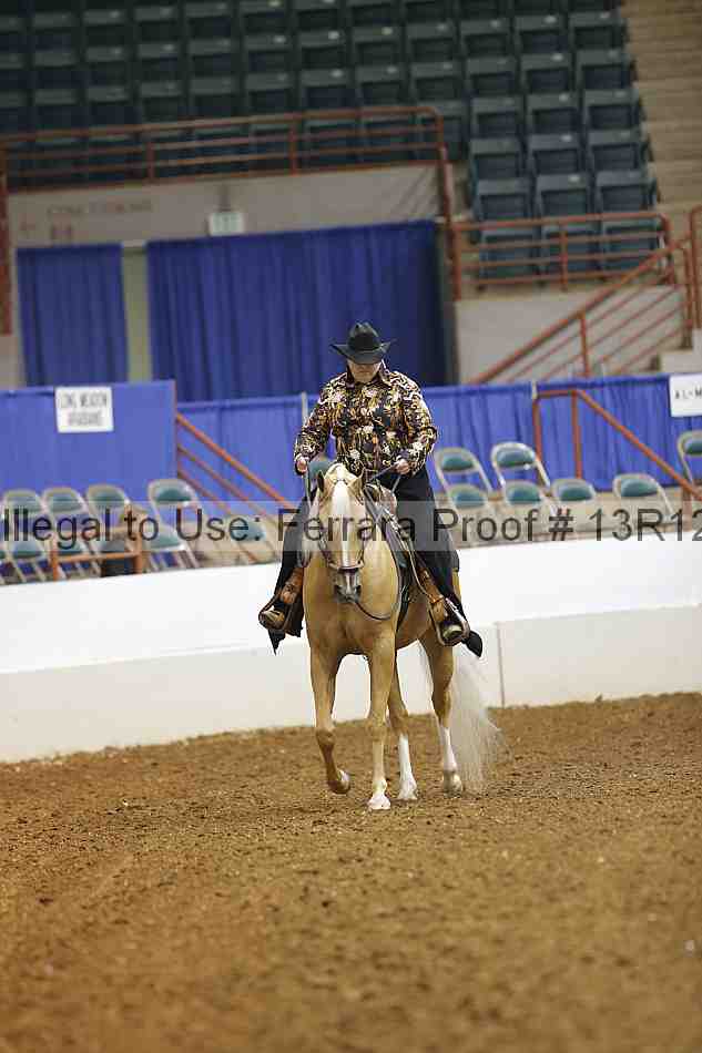 Proof Number 13r12_1608