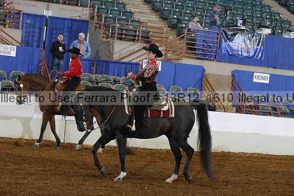 Proof Number 13r12_1610
