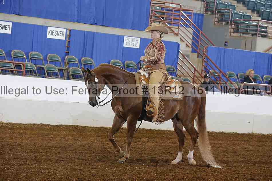 Proof Number 13r12_1611